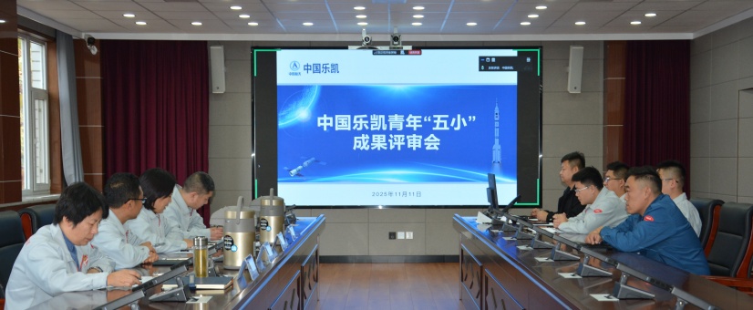 激揚青春智造力！中國樂凱團(tuán)委召開青年“五小”成果評審會